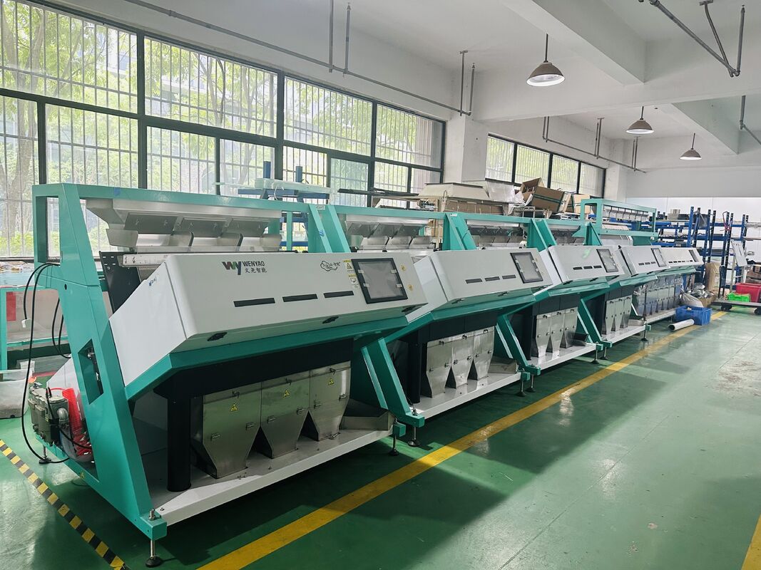 Agricultural Color Sorter Machine for Sunflower Seed Cotton Seed Rapeseed Oil Seeds Processing