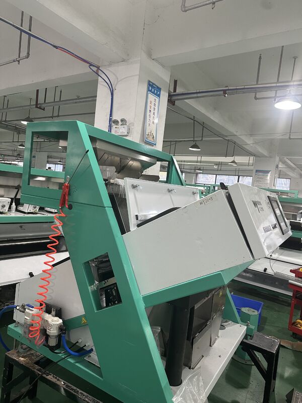 WENYAO High Precision 2 Channel Nut Color Sorter Remove Moldy Rotten Shell Impurity for All Kinds Nuts Processing