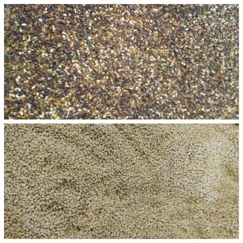 High Efficiency Nuts Color Sorter Pistachios Hazelnuts Pine Nuts Walnuts Almonds Peanuts Separating Machine  