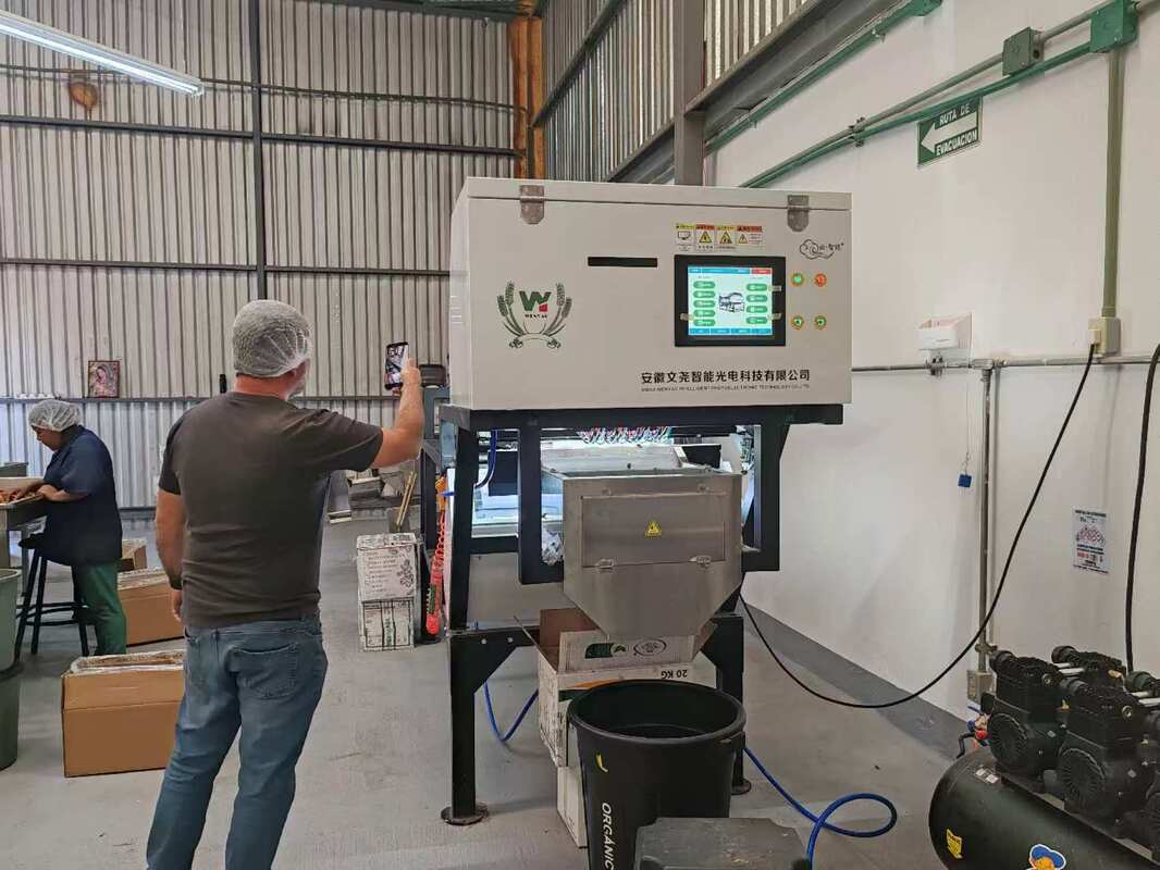 AI Cloves Color Sorting Machine Headless  Cloves Machine With Deep Learning Shape Sorter Machine