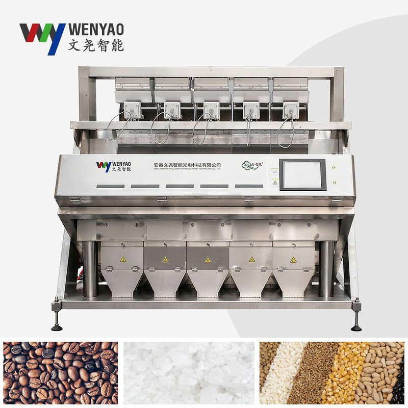 WENYAO Full 304/316 Stainless Steel Intelligent Color Sorting Machine  Salt Color Sorter Removing Impurity