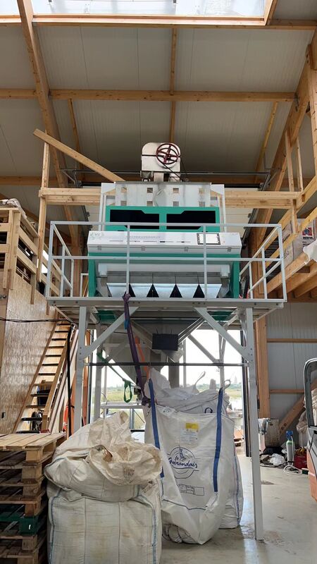 WENYAO Full 304/316 Stainless Steel Intelligent Color Sorting Machine  Salt Color Sorter Removing Impurity