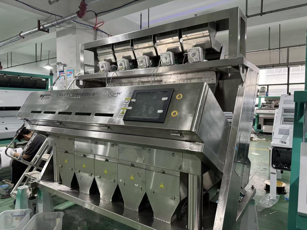 WENYAO Full 304/316 Stainless Steel Intelligent Color Sorting Machine  Salt Color Sorter Removing Impurity
