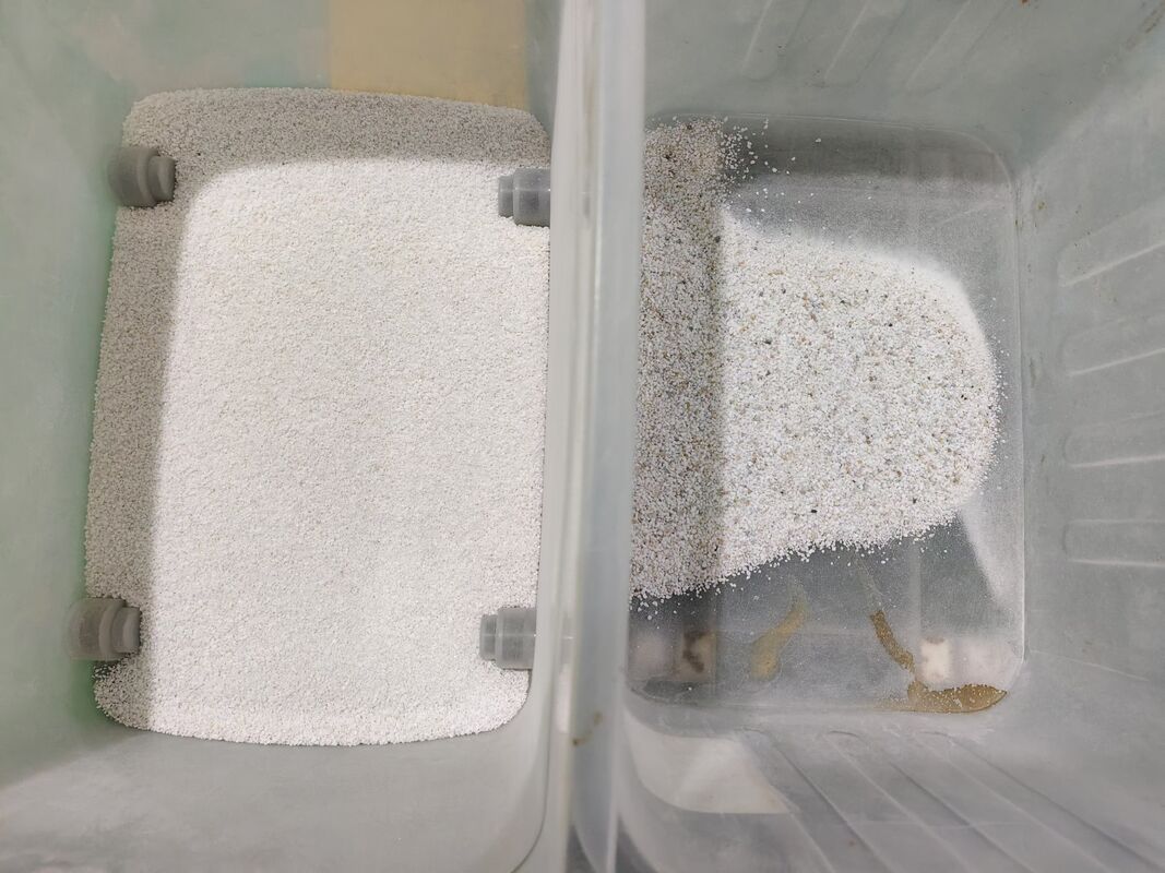 High Capacity 10 Channels SS316 Anti-Corrosive Salt Quartz Mineral Color Sorter Machine with 99.99% Sorting Accuracy