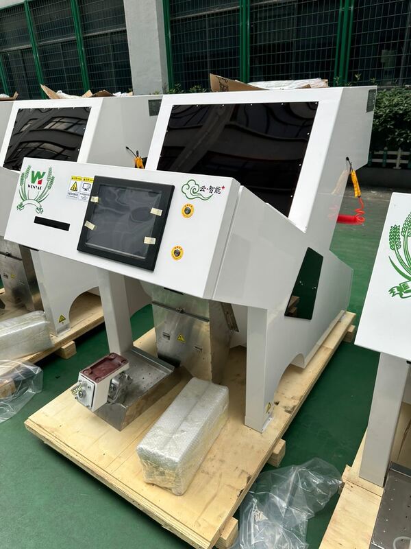Nutmeg Peanut Sorting Machine for Removing Aflatoxin Particles with UV Light Technology