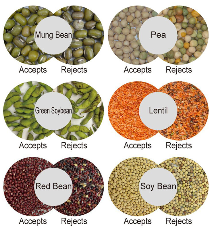 WENYAO Deep Learning AI Detection Grain Cleaner Remove Moldy & Discolored Kernels Processing Device Grain Color Sorter
