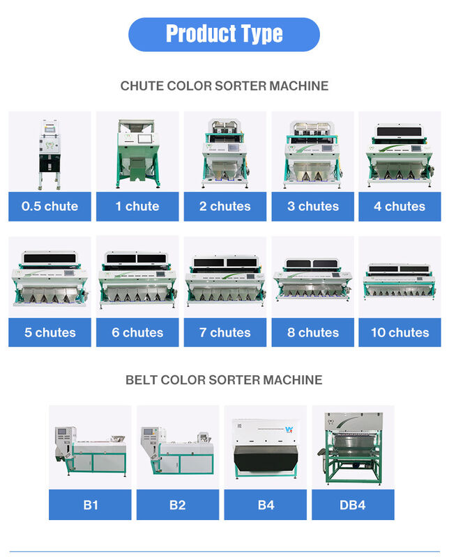High Precision Grain Color Sorter with 99.99% Sorting Accuracy and 5000 KG/H Capacity for Rice Processing