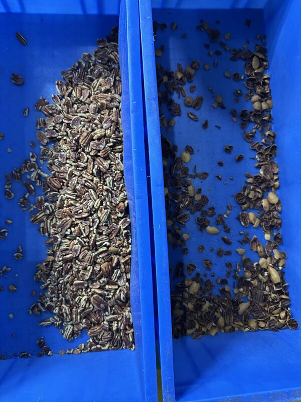Wenyao AI Deep Learning Belt Color Sorter Pistachio Hazelnut Cashew Nut Color Sorting Machine for Large Sorting Speed Nuts Cleaning