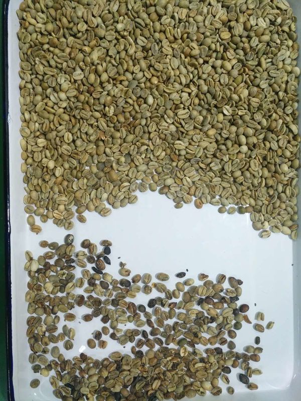 4 Chutes 256 Channels Coffee Color Sorter Machine