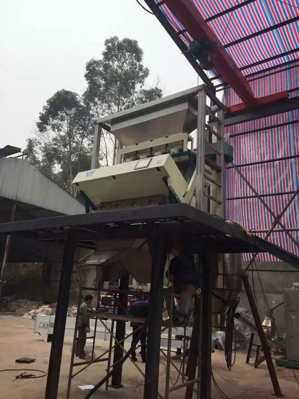 Pine Nuts Color Sorter Pine Nut Processing Machine nuts color sorter