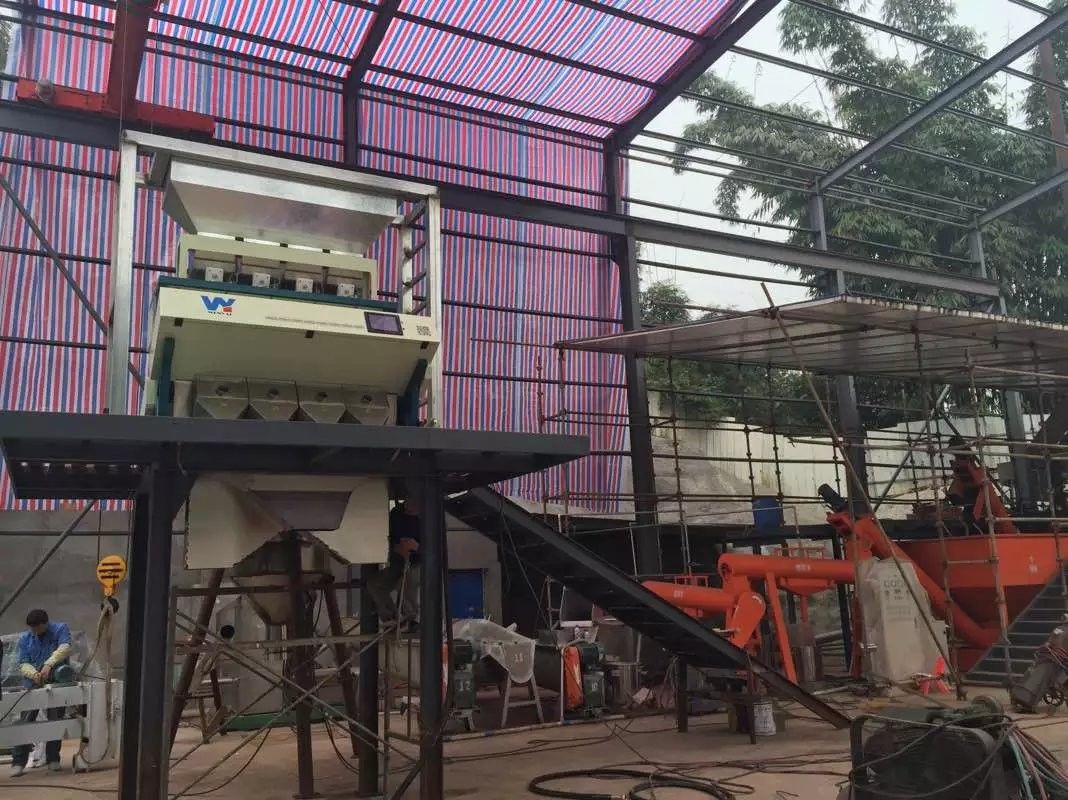 Automatic CCD Grain Color Sorter , 3t/h Pepper Sorting Machine