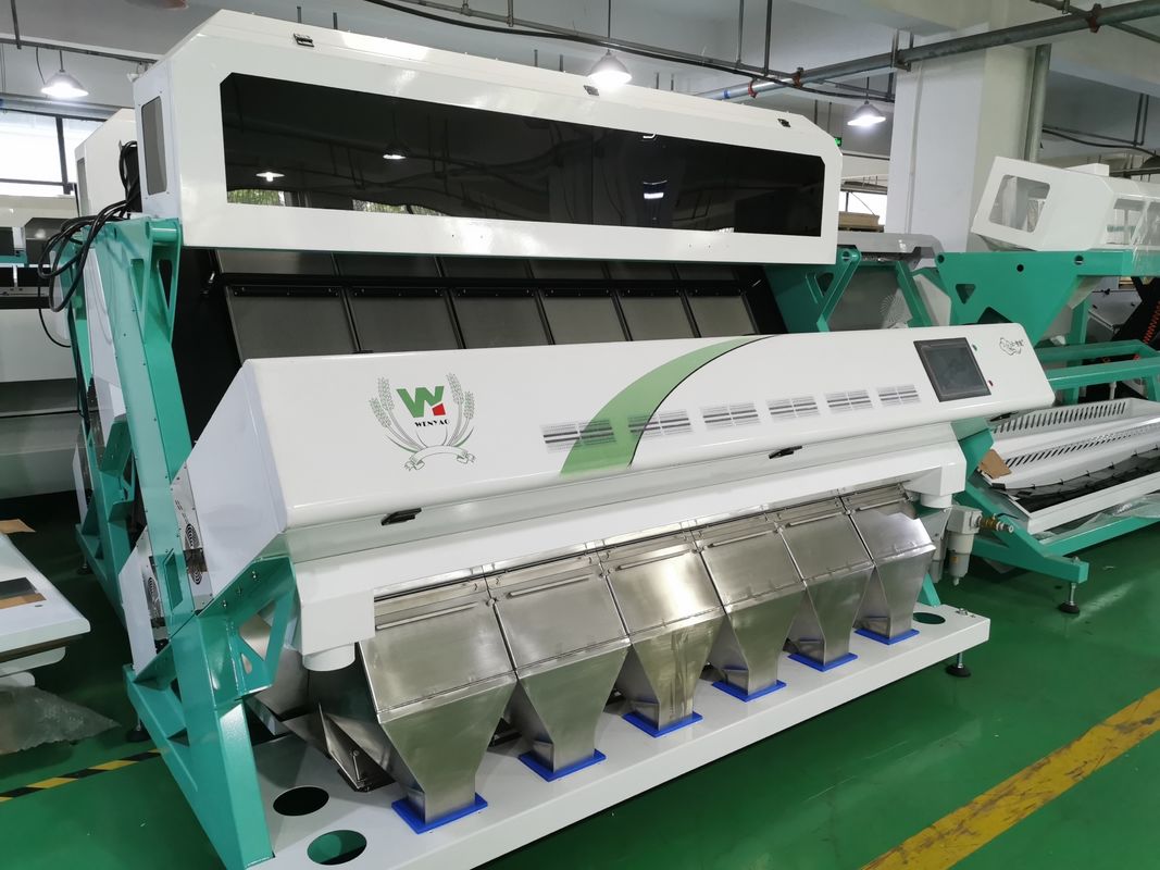 4T/H Sacha Inchi Bean Sorting Machine with high sorting accuracy