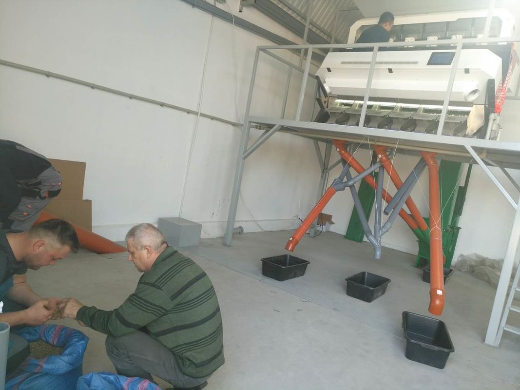 New Design Optical CCD Small Garlic Color Sorter Manufacturer Multifunction Color Sorting