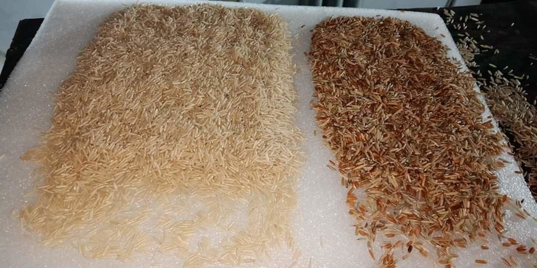 CCD Rice Color Sorter , Automatic Rice Milling Machine 256 Channels