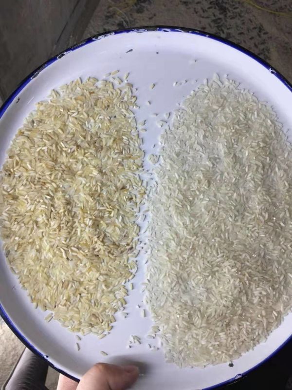 3t/H Grain Color Sorter 5400 Pixel Toshiba Brand Camera