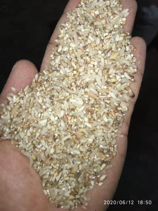 Intelligent CCD  Grain Sorter Machine , CE ISO9001 Beans Sorting Machine