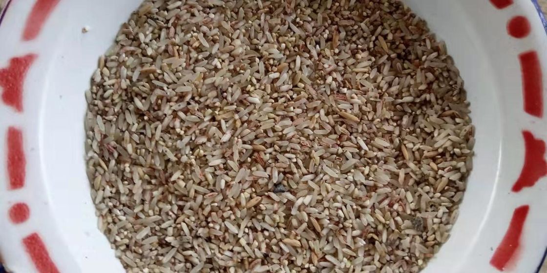 3t/H Grain Color Sorter 5400 Pixel Toshiba Brand Camera
