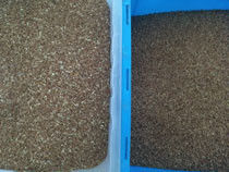 Japonica Rice Color Sorting Machine Of Agricultural Equipment For  Color Sorter Rice