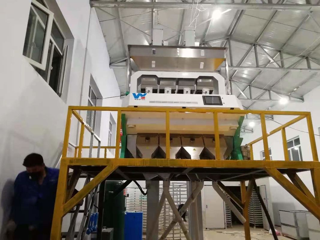 Split Blanched Peanut Color Sorter Machine Peanuts Color Sorting Machine