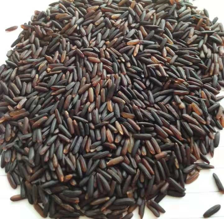Intelligent CCD Nir Sensor Black Rice Sorter For Rice Mill Grading Processing Rice