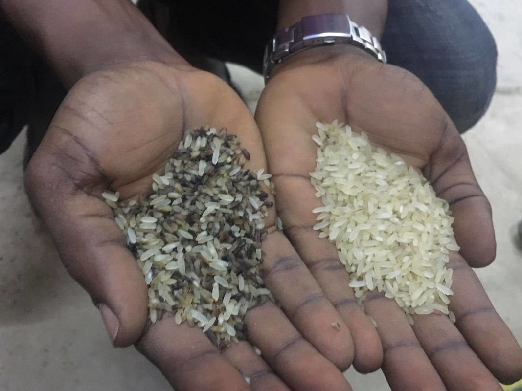 Brown Rice Color Sorter Machine For Sorting Brown Rice In Small Rice Mill