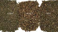 Precision Coffee Bean Color Sorter With Japan Nikon Lens Advanced Deep Learning Technology