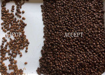Precision Coffee Bean Color Sorter With Japan Nikon Lens Advanced Deep Learning Technology