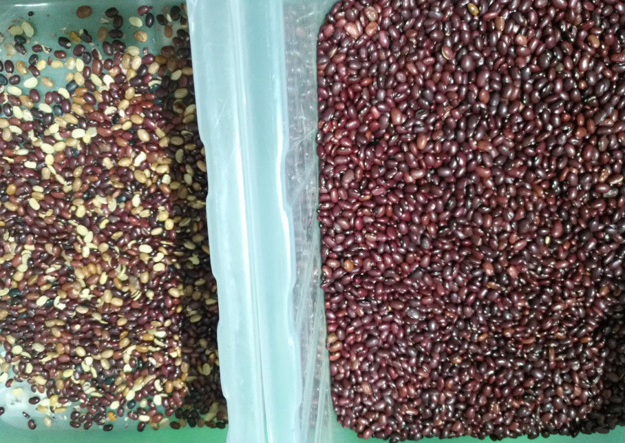 5400 Pixel Mini Beans Color Sorter , 800kg/H Soybean Sorting Machine