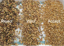 Soybean Sorting Machine Soybean Color Sorter For Oil And Food Plant Bean Processing Equipment