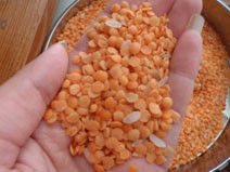 Red Green Lentils Color Sorter Lentil Colour Separator Bean Processing Sorting Machine