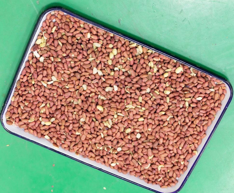 4 Chutes Nuts Color Sorter , 256 Channels Optical Peanut Machine