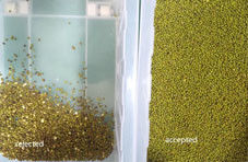 Multi-Functional Mung Bean Color Sorter Machine Green Mung Beans Colour Sorting Beans Color Sorte Machine