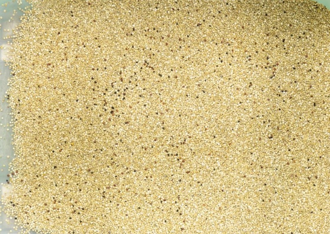 WENYAO Multifunction Color Sorter , Quinoa Oat Grain Color Sorter