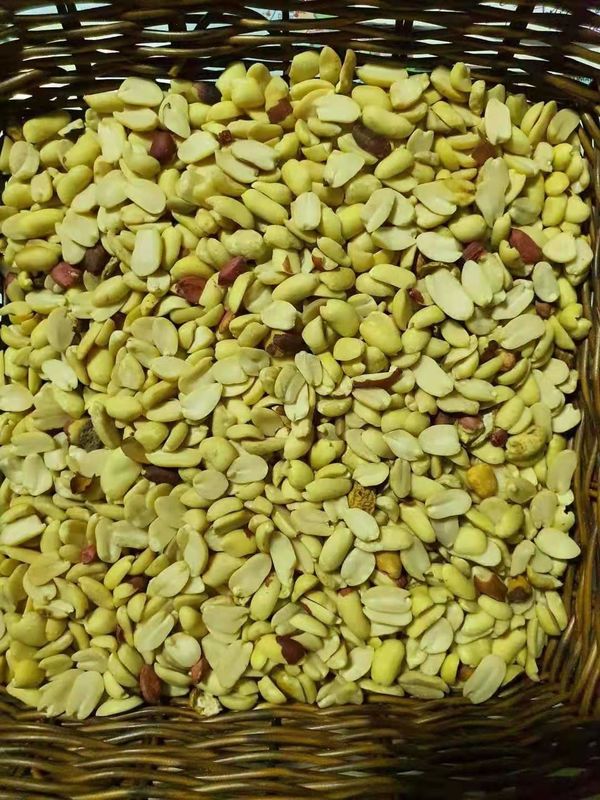 Split Blanched Peanut Color Sorter Machine Peanuts Color Sorting Machine