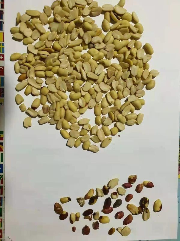Split Blanched Peanut Color Sorter Machine Peanuts Color Sorting Machine