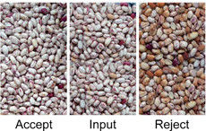 White Red Kidney Beans Color Sorter Kidney Bean Sorting Machine With RGB CCD Sensor