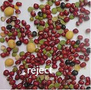 Color Sorter Red Bean Color Sorting Machine Automactic Intelligent CCD Color Separator