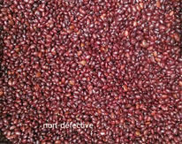 Color Sorter Red Bean Color Sorting Machine Automactic Intelligent CCD Color Separator