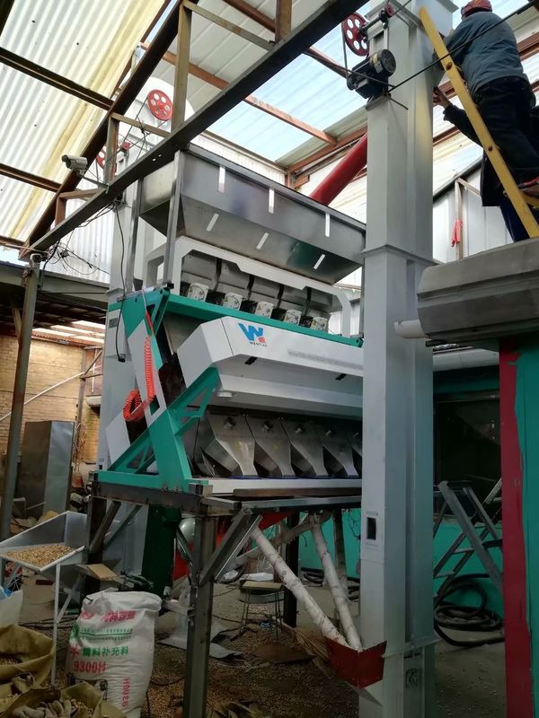 Sesame Processing Line WYCS5-320 White Sesame Seed Color Soter Machine For Black Sesame Removing And Cleaning