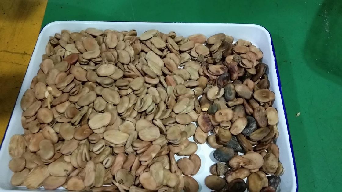 Broad Bean Color Sorter Machine CCD Colour Sorter With Full Color Technology