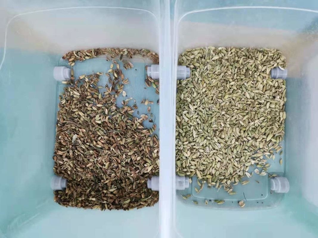 Intelligent Cardamom Separate CCD Color Sorter Automatic Computing