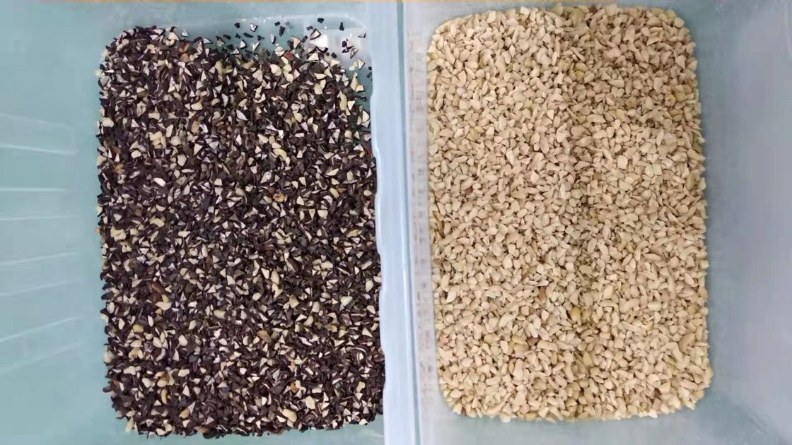 Candle Nut  Color Sorter chestnut Separator Selector Machine Sorting for Nut