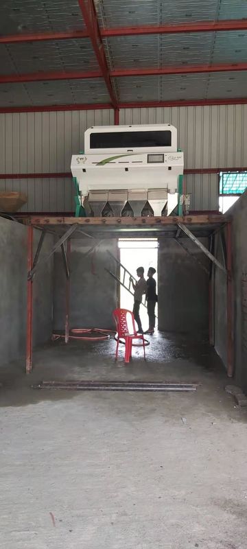 240V 50Hz Roasted Coffee Bean Sorting Machine high speed processing Chip