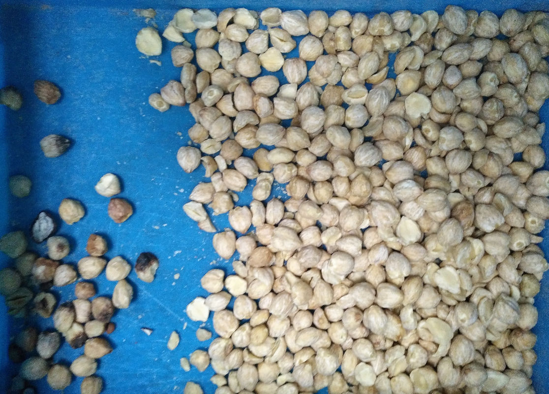 2023 New Design CCD Nuts Color Sorter Walnut Cashew Coconut Color Separation Machine
