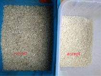 1 Chute 64 Channels Salt Color Sorter 5400 Pixel CCD image acquisition system