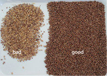 WENYAO Wheat Sorting Machine , CE optical color sorter For Wheat Harvesting Machine