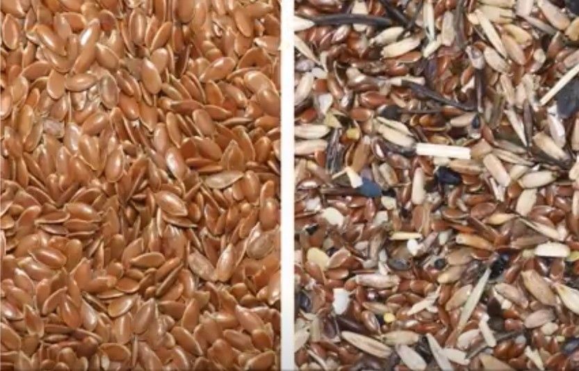 Radish Seed Multifunction Color Sorter Toshiba CCD Sensor