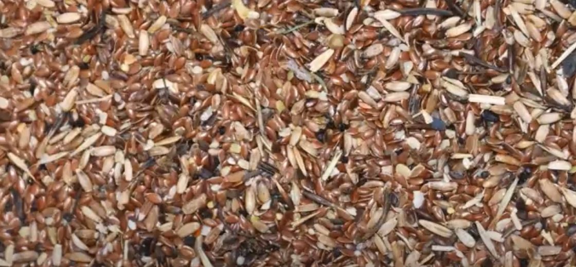 Manufacturer  Flax Seed Sorting Machine Sesame Seeds Color Sorter Agricultural Equipment