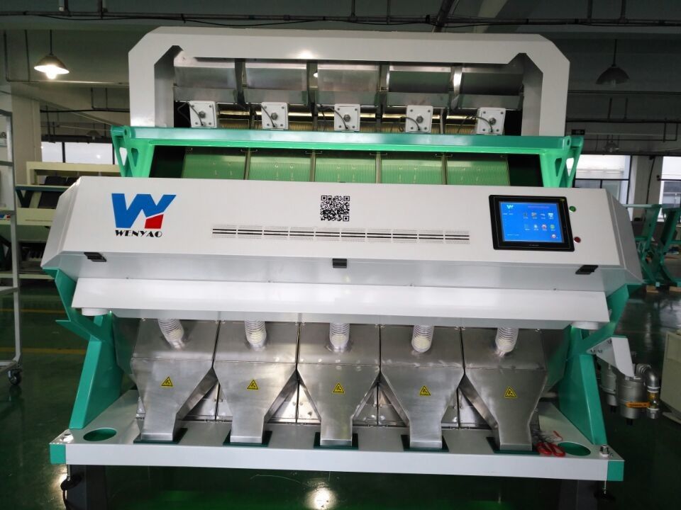 2021 Hot Selling 5 Chutes Candlenut CCD Nuts Color Sorter In Nuts Processing Line