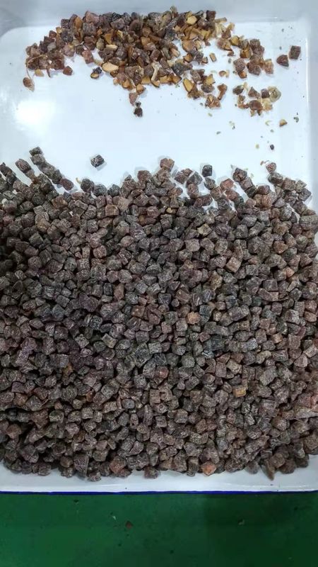 2021 Hot Selling 5 Chutes Candlenut CCD Nuts Color Sorter In Nuts Processing Line